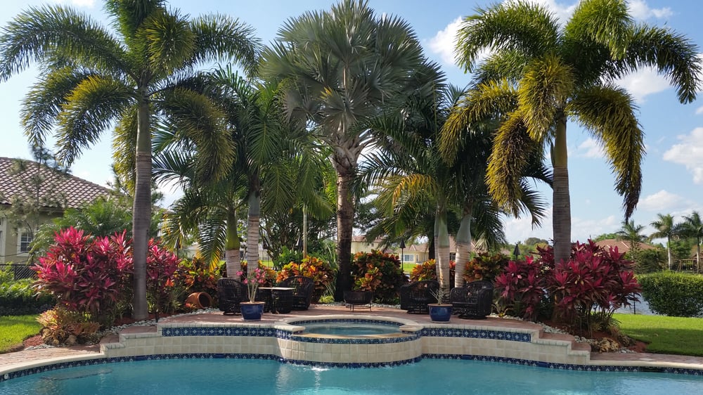 Poolside tropical landscape with palms and color plants
